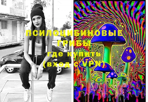 марки lsd Краснослободск