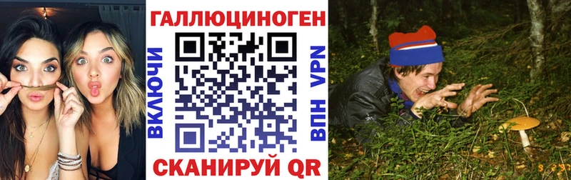 Псилоцибиновые грибы Psilocybe  Купить закладки  Красногорск 